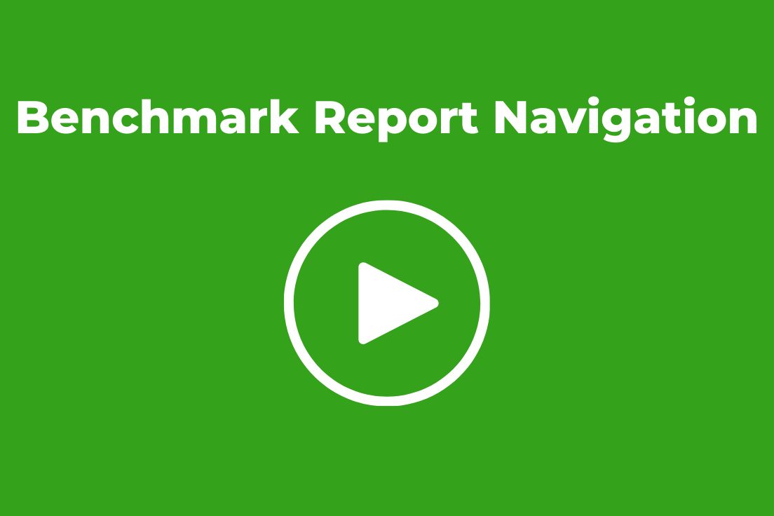 Benchmark Report