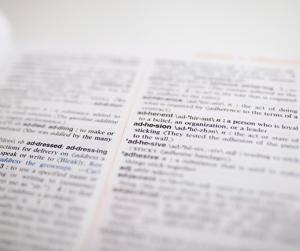 Vocab & Grammar