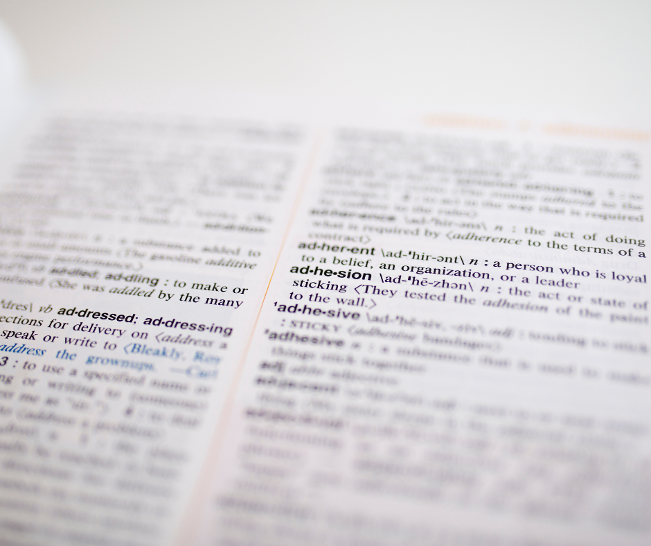 Vocab & Grammar