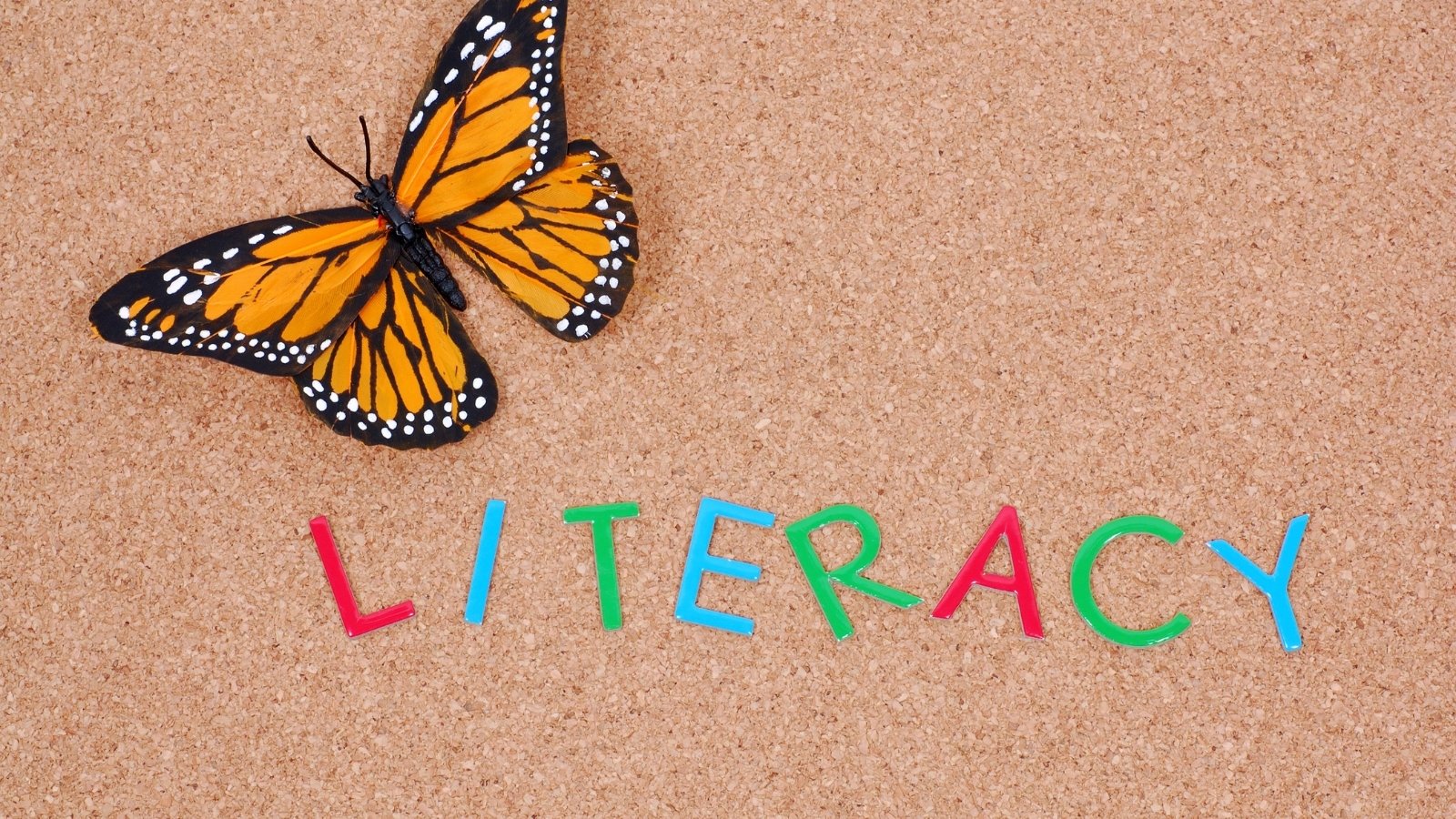 Fireside Chat: Leading the Way and Accelerating Literacy Growth with ThinkCERCA