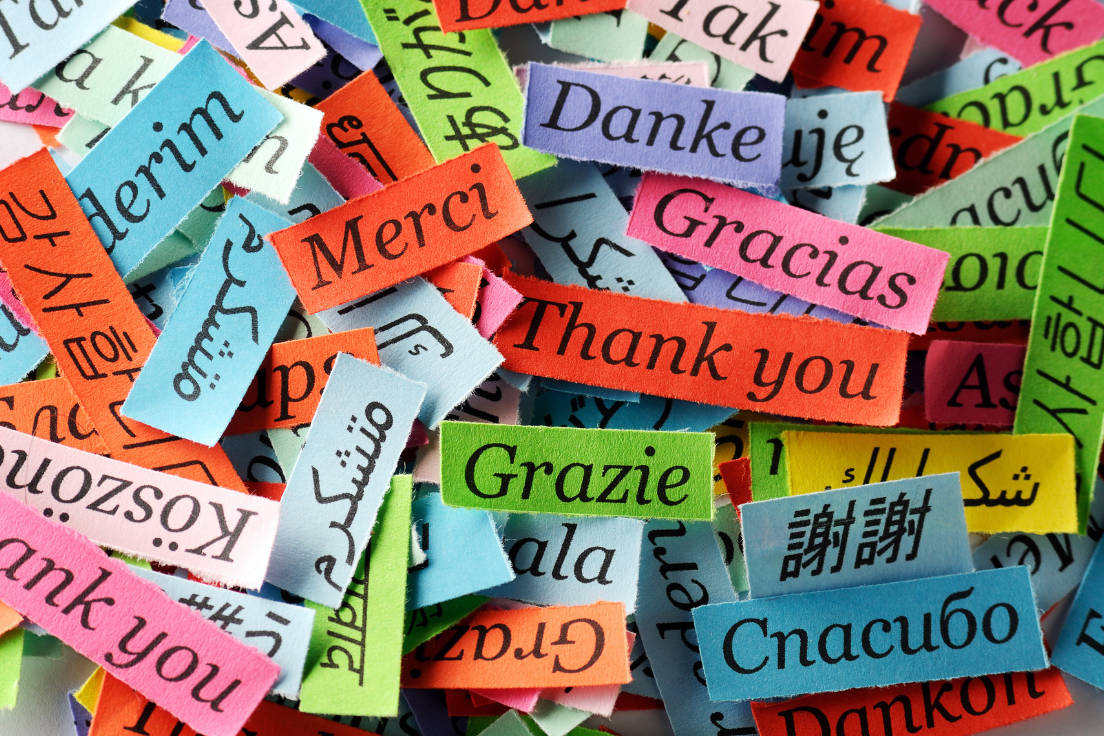 The Multilingual Advantage: Strategies for Success